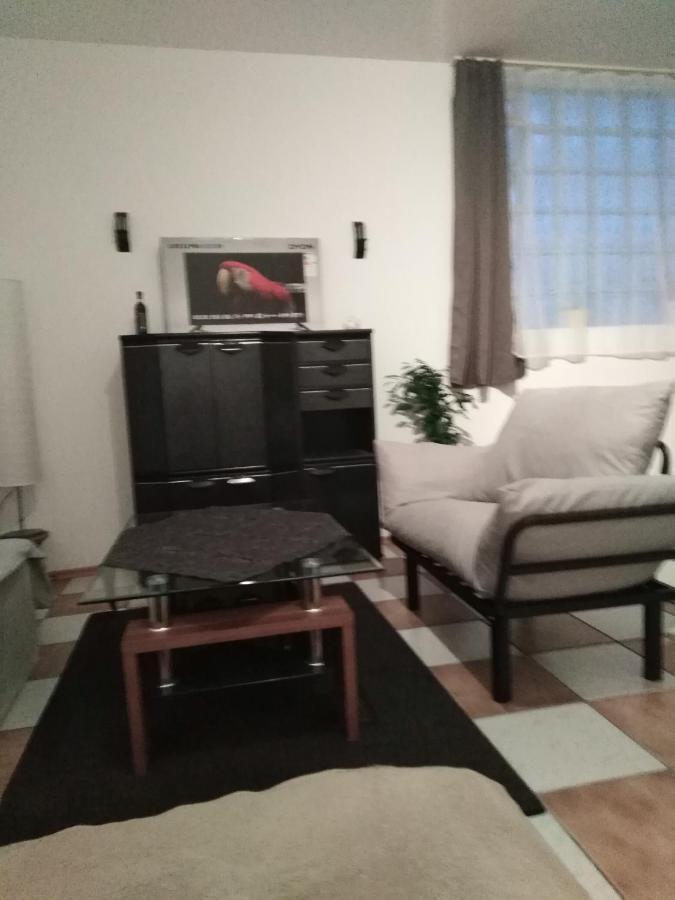 Studiowohnung, Neu Renoviert, Zentrale Lage Saarlouis Exterior foto